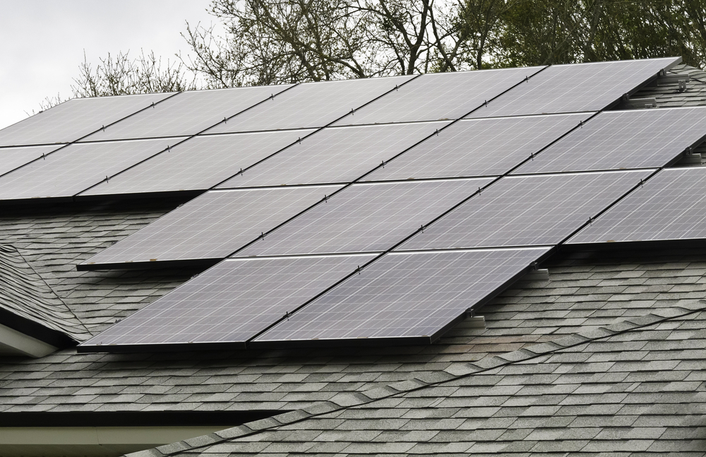 My neighbor wants free electricity if I install solar panels on shared roof